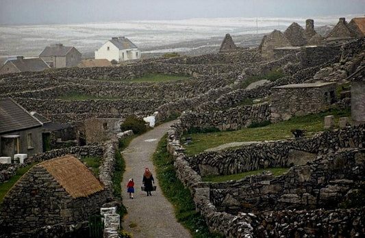 All About Aran Clothing and Knitwear