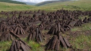 The Riches of Irish Bogs