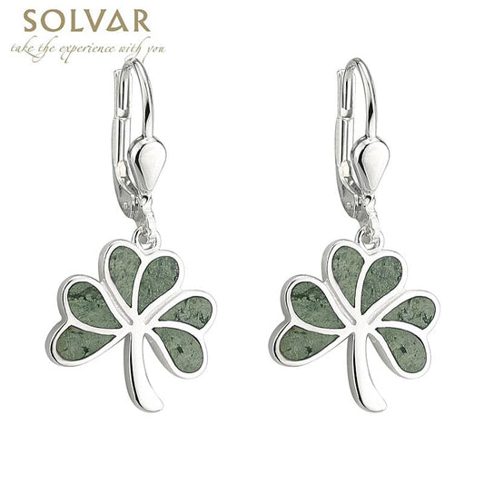 Everything You Ever Wanted to Know about Shamrock