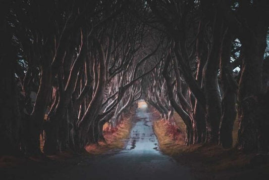 Halloween: One of the Oldest Irish Gifts