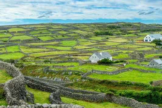 Ireland's Glorious Greens