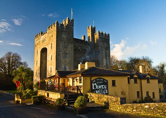 Bunratty Castle and Durty Nellies Photographic Print