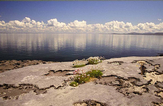 Burren at Galway Bay Photographic Print