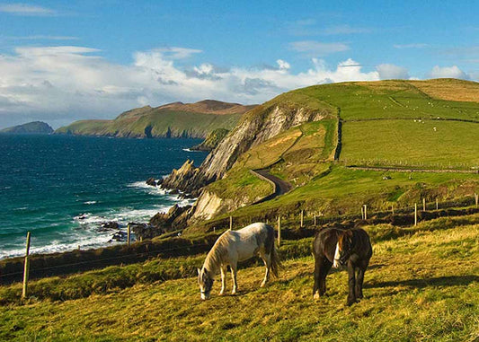 Dingle Peninsula Photographic Print