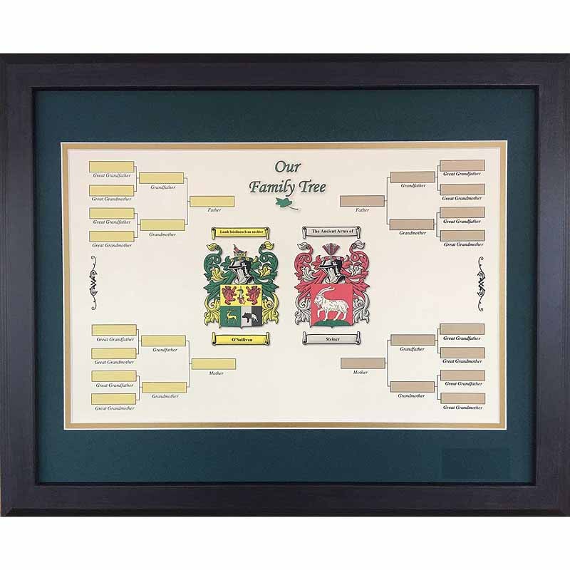 irish coat of arms | our family tree framed print