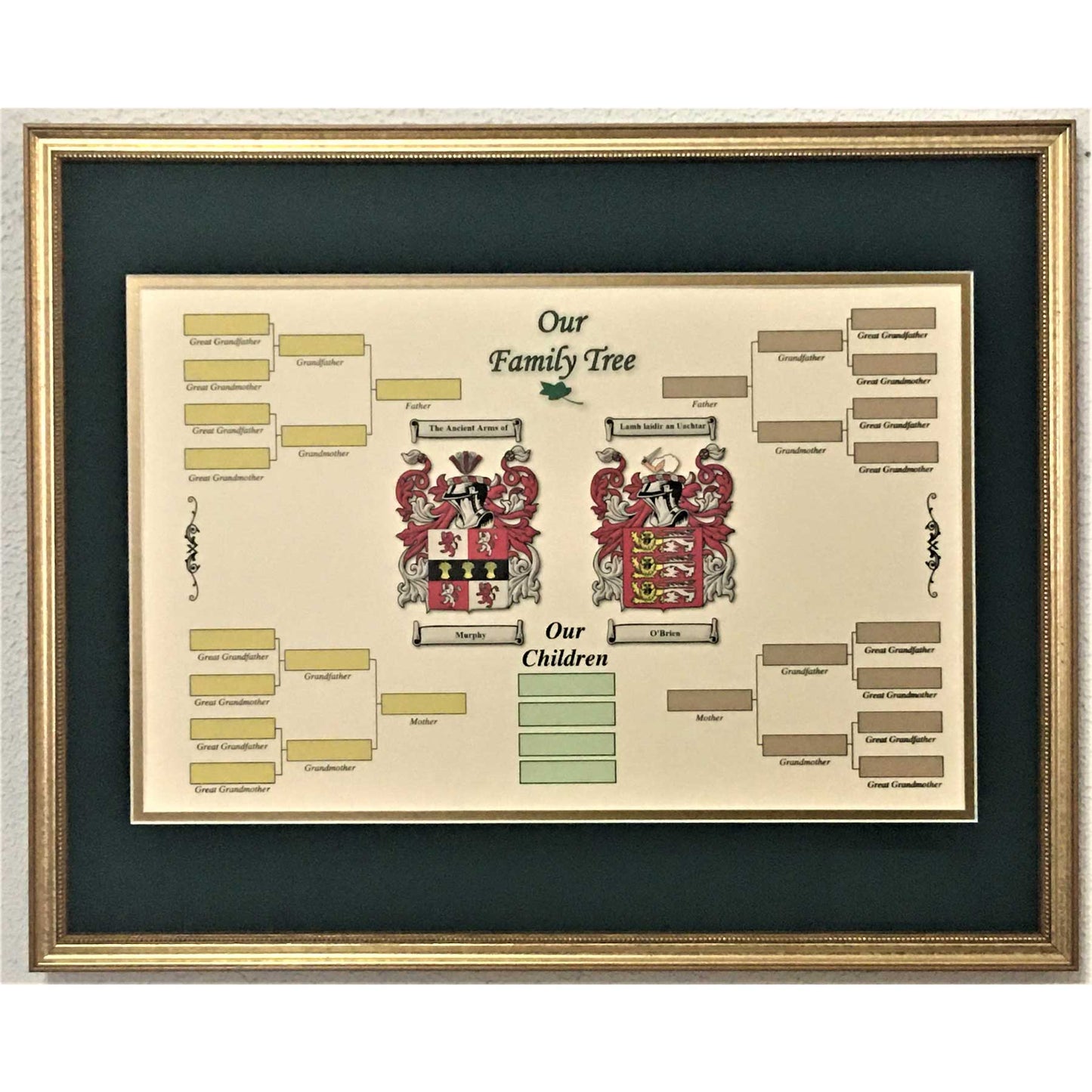 irish coat of arms | our family tree with children framed print