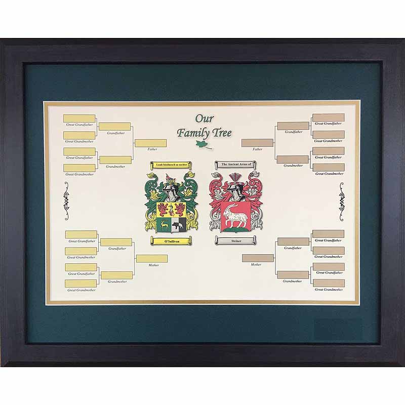 Product image for Irish Coat of Arms | Our Family Tree Framed Print