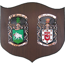 Alternate image for Personalized Double Irish Coat of Arms Cadet Shield Plaque