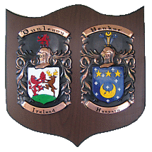 Alternate image for Personalized Double Irish Coat of Arms Knight Shield Plaque