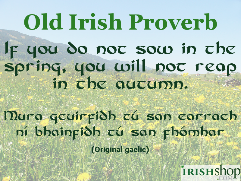 Irish Proverb - If you do not sow in the spring, you will not reap in the autumn.  