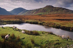 Connemara County Galway