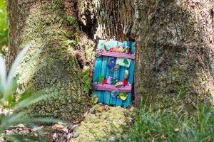 Fairy Door in Tree