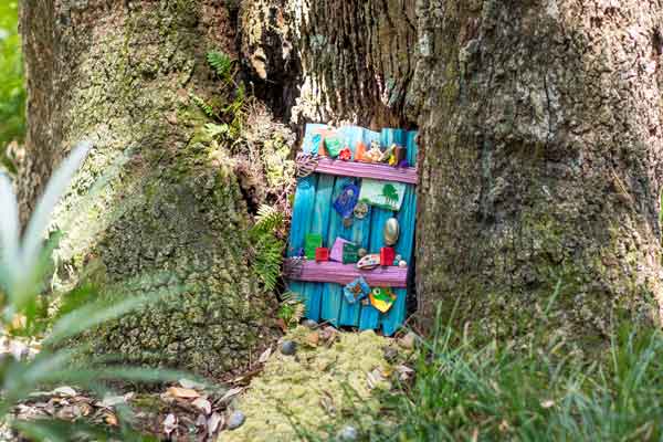 Fairy Door in Tree