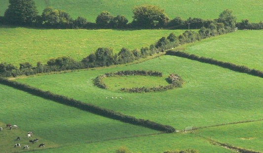 Fairy Forts – One of Ireland’s Magical Treasures