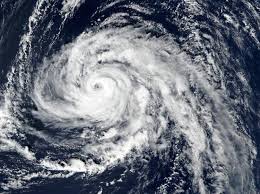 Storm Ophelia Unearths an Ancestor