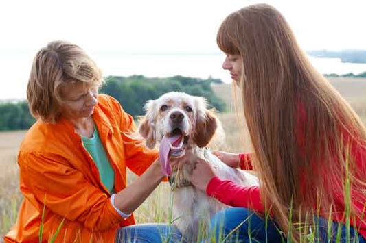 Irish Gifts Your Mom Will Love