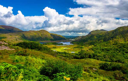 View of Killarney National Park