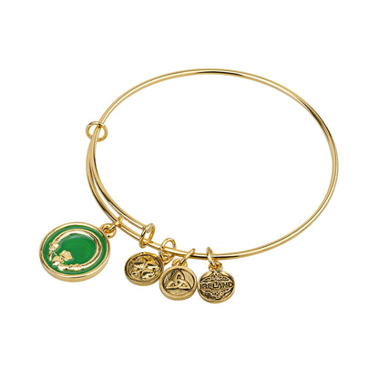 Irish Bracelet | Claddagh Irish Symbols Charm Celtic Bangle on a white background