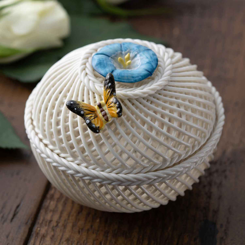 Flower of the Month Irish Basket Morning Glory September