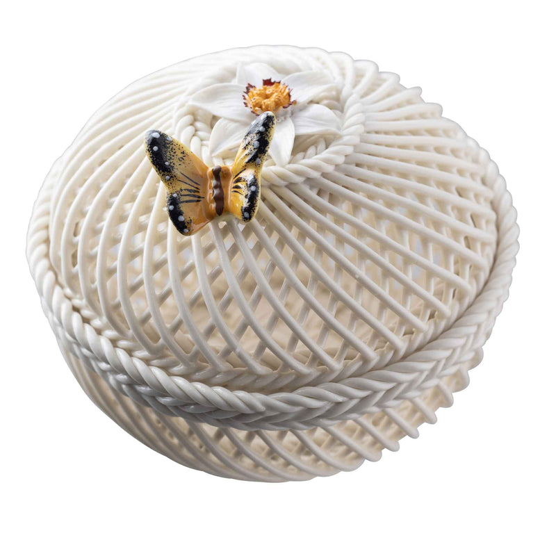 Flower of the Month Irish Basket Narcissus December