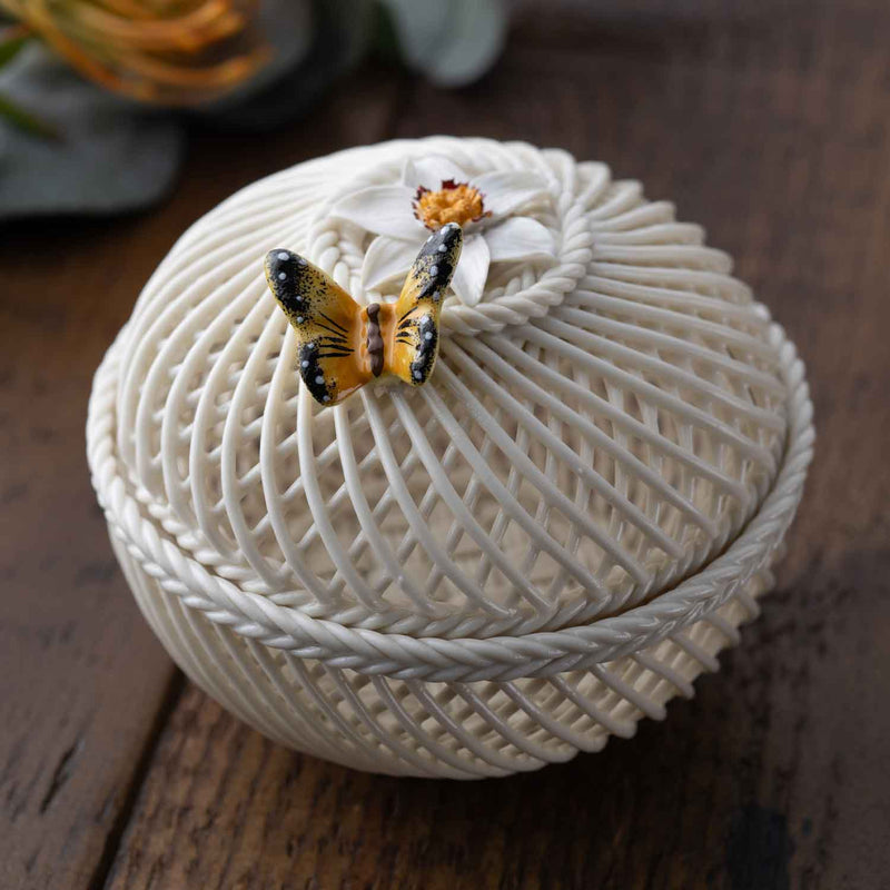 Flower of the Month Irish Basket Narcissus December