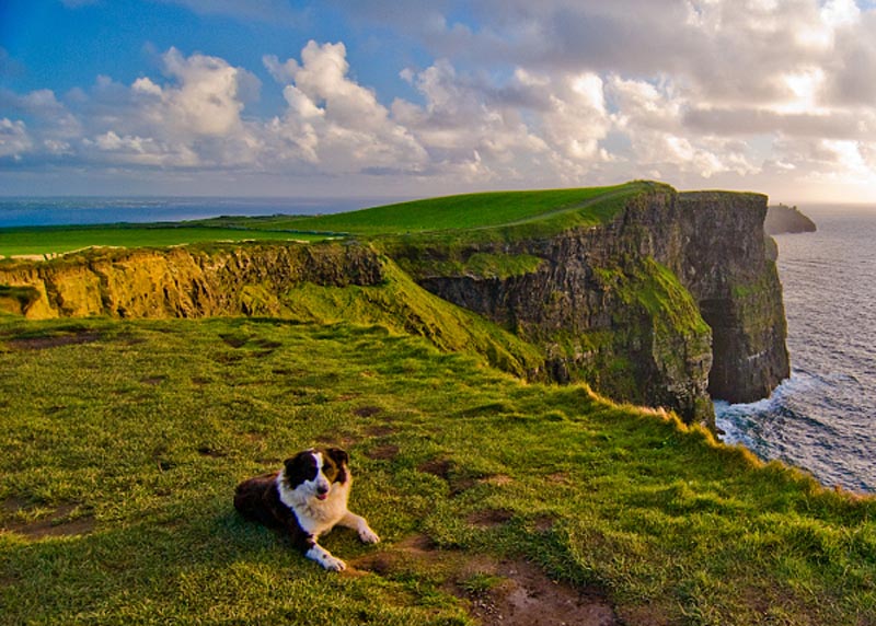 Product image for At the Cliffs of Moher Photographic Print