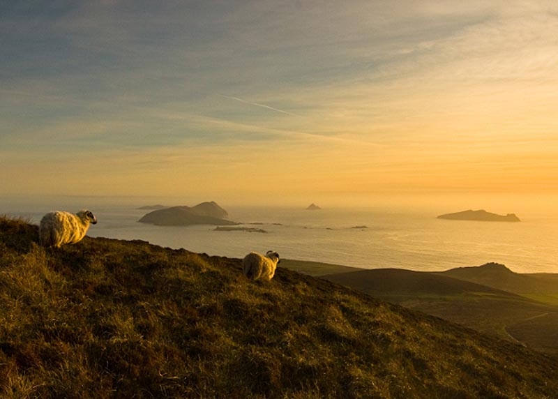 Product image for Dingle Peninsula at sunset Photographic Print