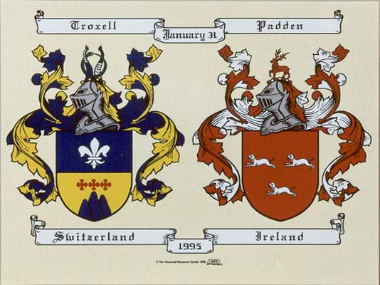 Product image for Personalized Irish Double Coat of Arms - Unframed