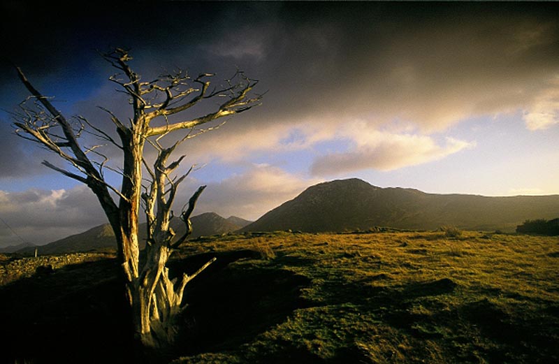 Product image for Kylemore Pass, Connemara Photographic Print