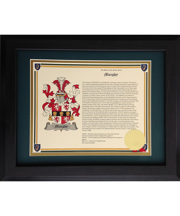 Product image for Coat of Arms and History Framed (Landscape)
