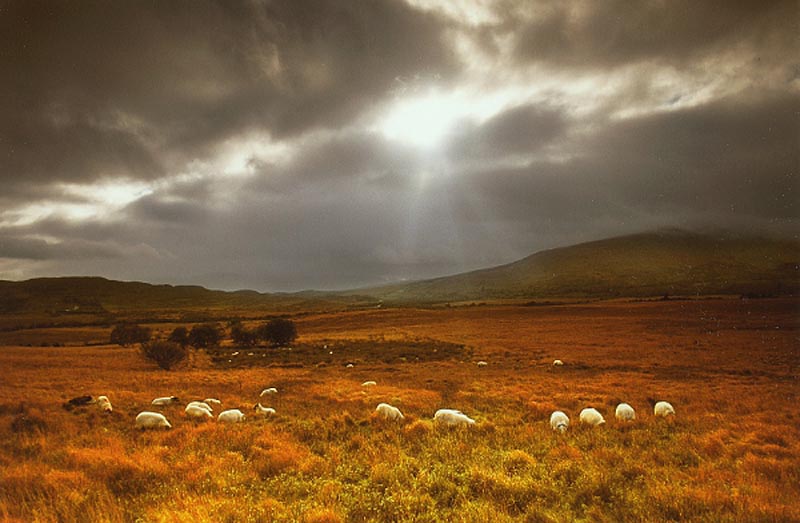 Product image for Ring of Kerry near Kenmare Photographic Print