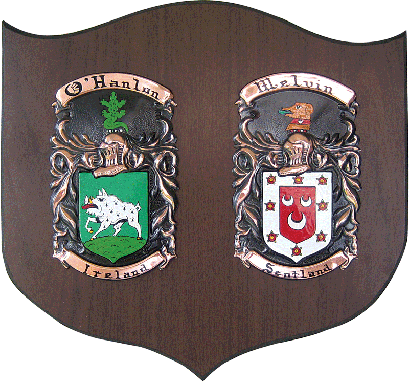 Product image for Personalized Double Irish Coat of Arms Cadet Shield Plaque