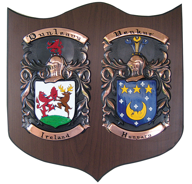 Product image for Personalized Double Irish Coat of Arms Knight Shield Plaque