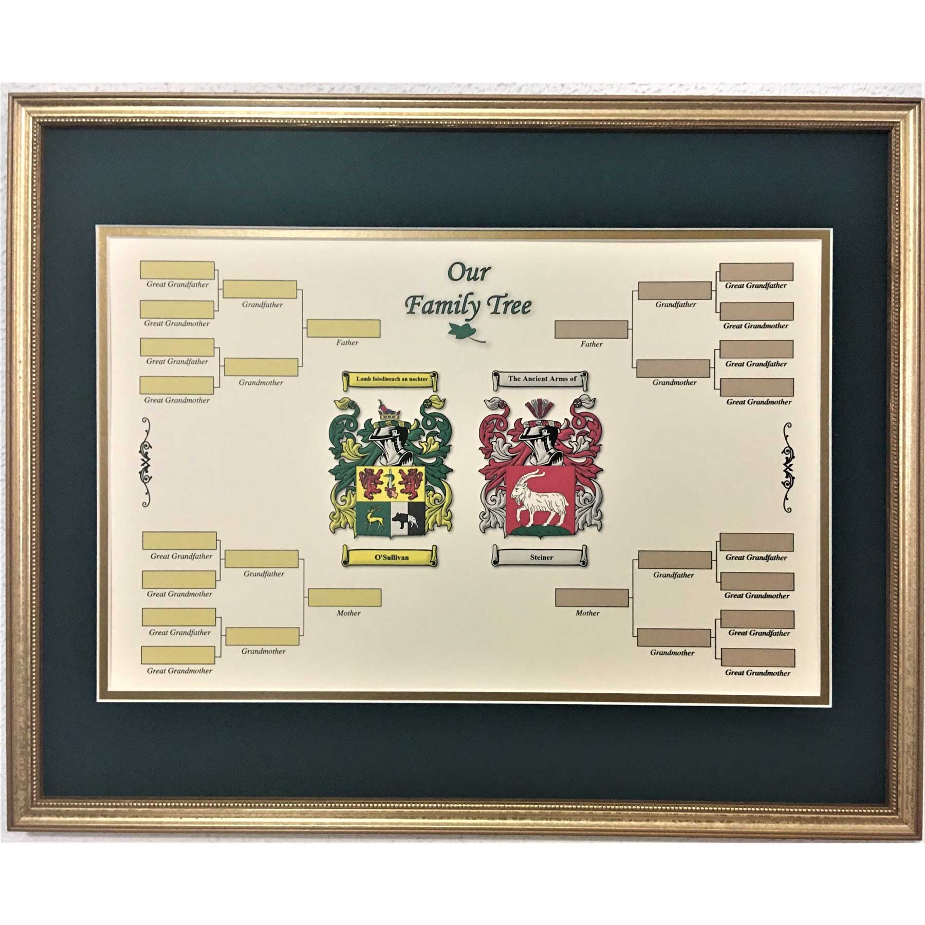 Product image for Irish Coat of Arms | Our Family Tree Framed Print