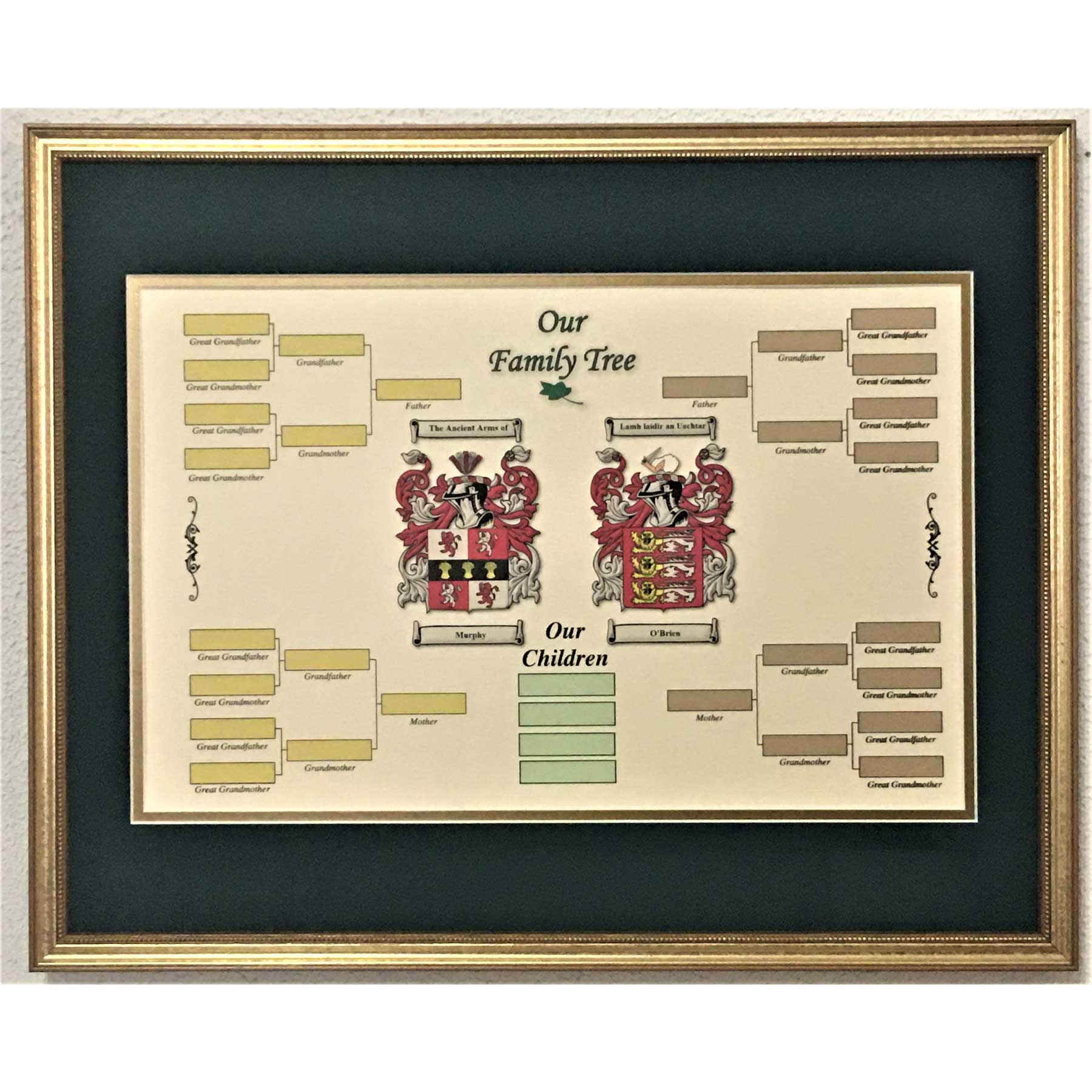 Product image for Irish Coat of Arms | Our Family Tree with Children Framed Print