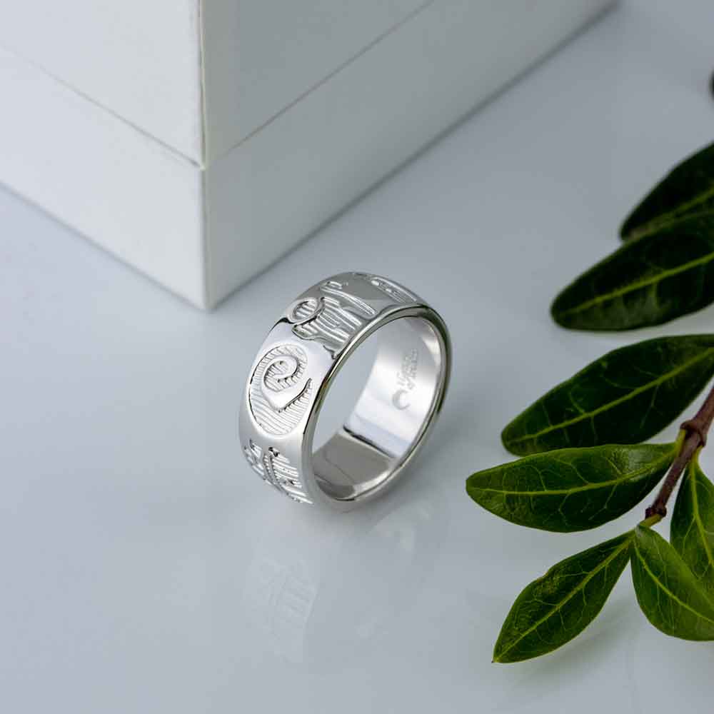 Product image for Irish Ring - Sterling Silver History of Ireland