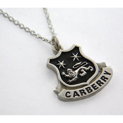 Alternate Image 1 for Irish Necklace - Sterling Silver Personalized Coat of Arms Shield Pendant
