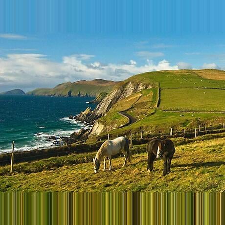 Product Image for Dingle Peninsula Photographic Print