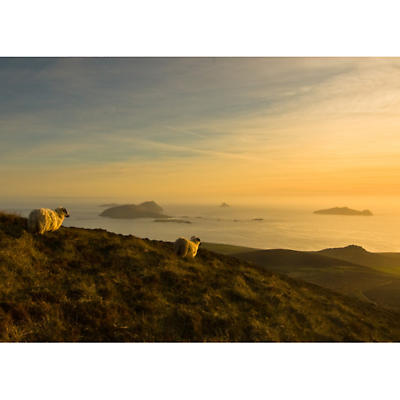 Product Image for Dingle Peninsula at sunset Photographic Print