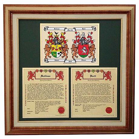 Personalized Irish Coat of Arms Anniversary Collection - Framed Double Coat of Arms with Two Family Name Histories