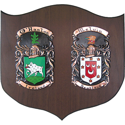 Product Image for Personalized Double Irish Coat of Arms Cadet Shield Plaque