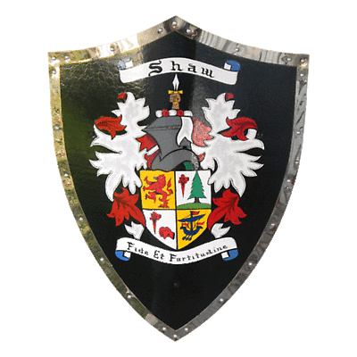 Product Image for Personalized Irish Coat of Arms Duke Battle Shield with Full Mantle