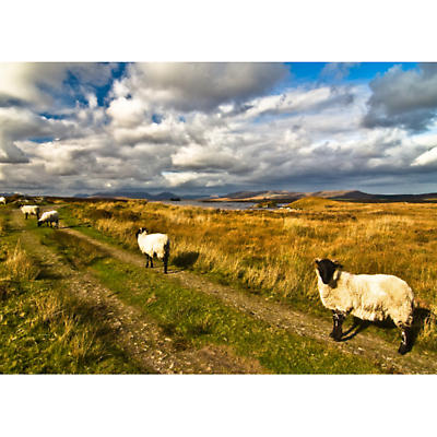 Product Image for West to Connemara Photographic Print