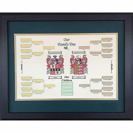 Irish Coat of Arms | Our Family Tree with Children Framed Print