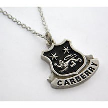 Alternate image for Irish Necklace - Sterling Silver Personalized Coat of Arms Shield Pendant