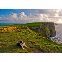 At the Cliffs of Moher Photographic Print Product Image