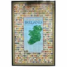 Ireland Family Coat of Arms - Poster Print Product Image