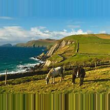 Dingle Peninsula Photographic Print Product Image