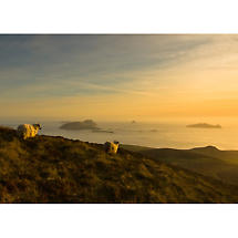 Dingle Peninsula at sunset Photographic Print Product Image