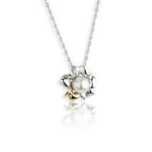 Alternate image for Jean Butler Jewelry Irish Necklace - Sterling Silver Irish Primrose Pearl Two Tone Pendant with Chain
